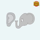 Jawaban Kuping gajah